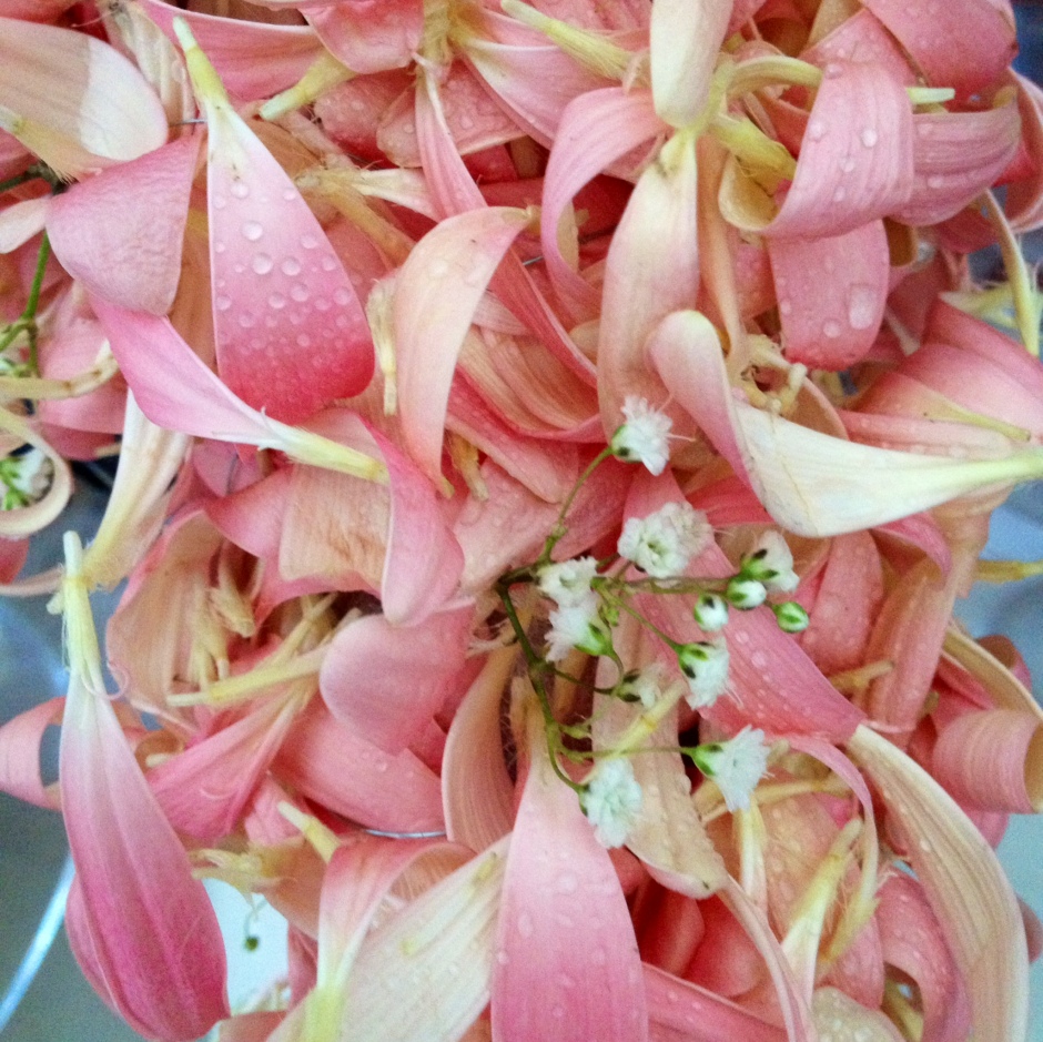 Dettaglio di bouquet a cascata realizzato con petali di gerbere e Gipsophila, realizzato da Stile Libero Detail of cascade bouquet made ​​with petals of gerberas and Gipsophila, made by Stile Libero
